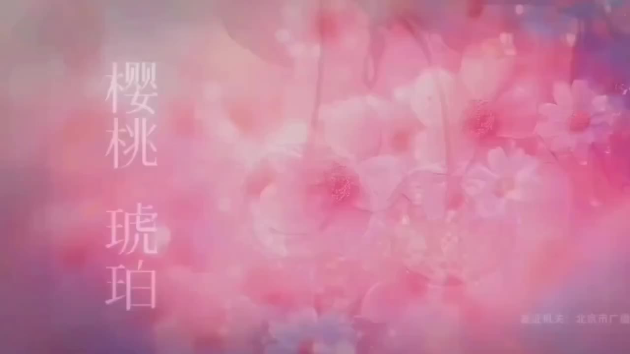 AI魔改 樱桃琥珀 cover