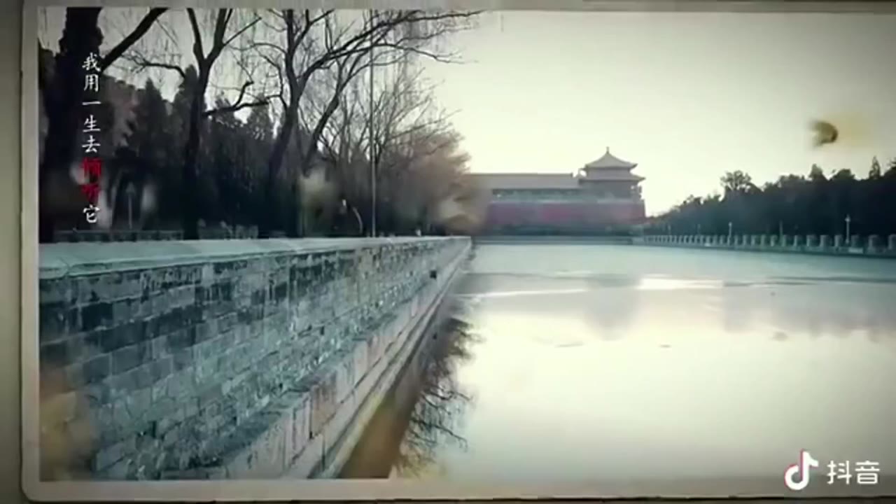 AI魔改 情满四合院 cover
