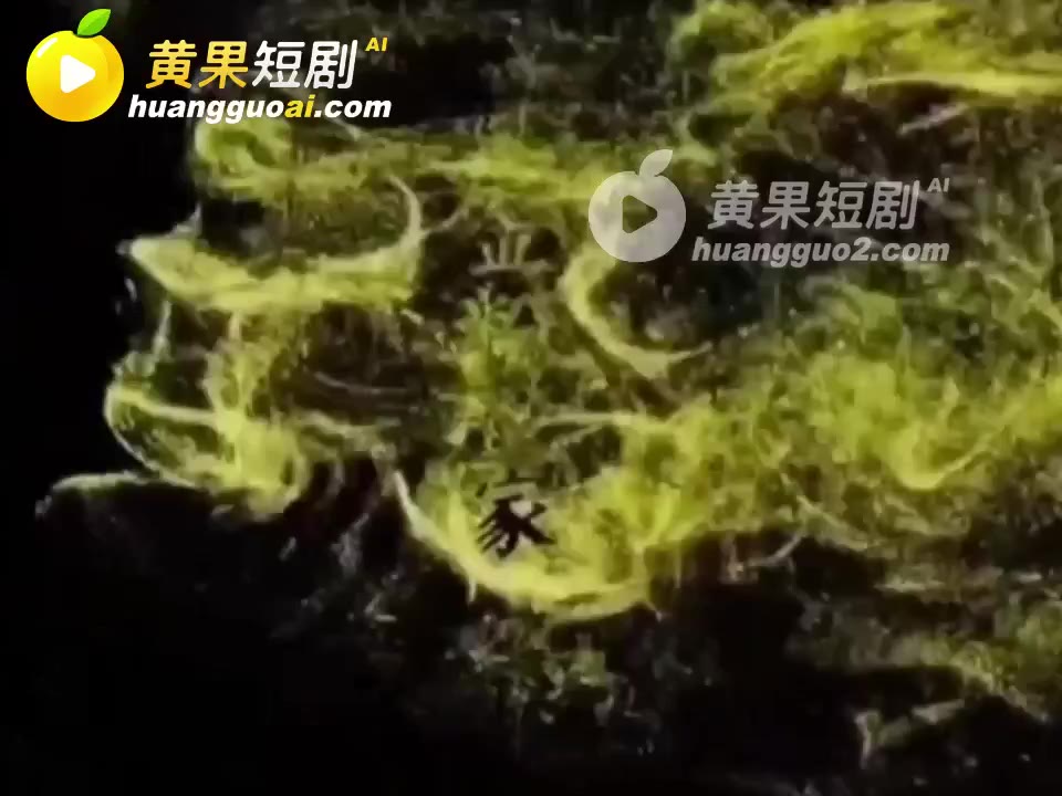 魔改 金粉世家 cover
