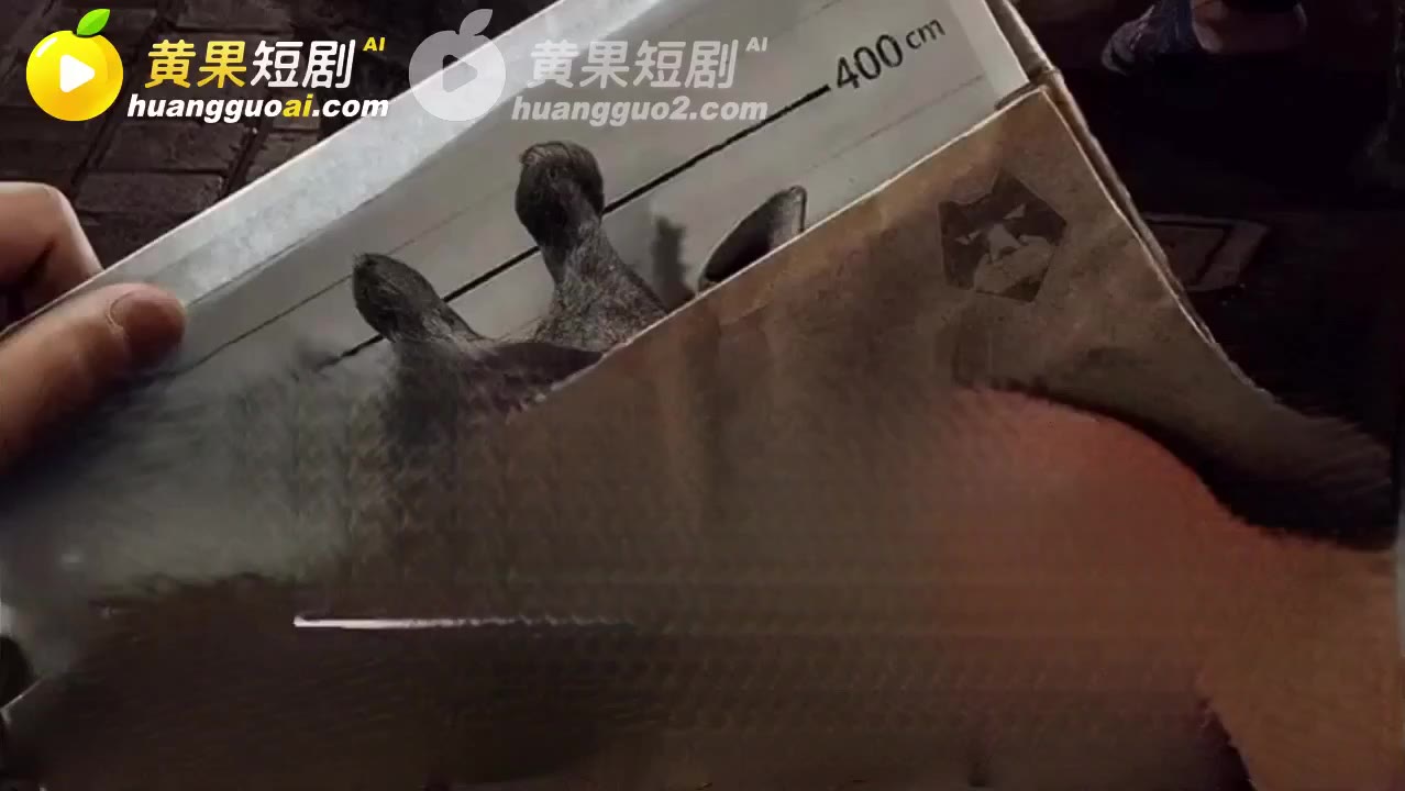 魔改 动物管理局 cover