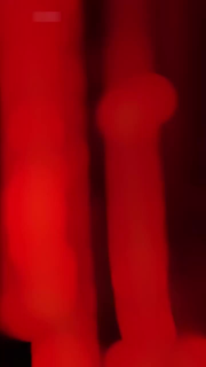 AI魔改 张天爱 太子妃升职记现实版 靠的不就是服侍金主爸爸才能上位 cover