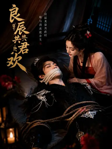 良辰共君欢 cover